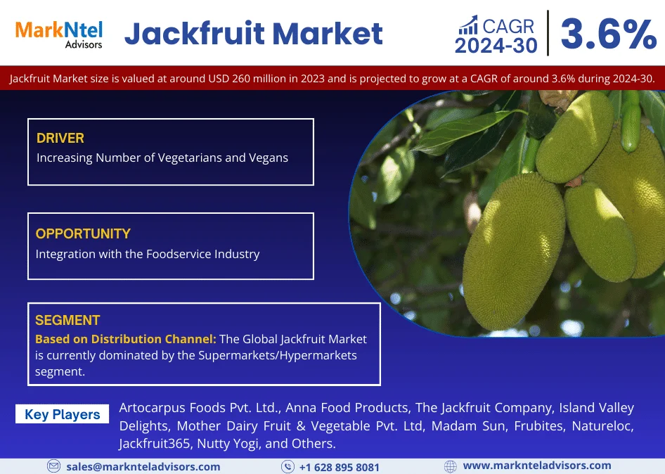 Jackfruit Market Size to Surpass USD 260 million in 2023 with a Growing CAGR of 3.6% by 2030, Share, Trends, Growth Strategies and Competitive Analysis