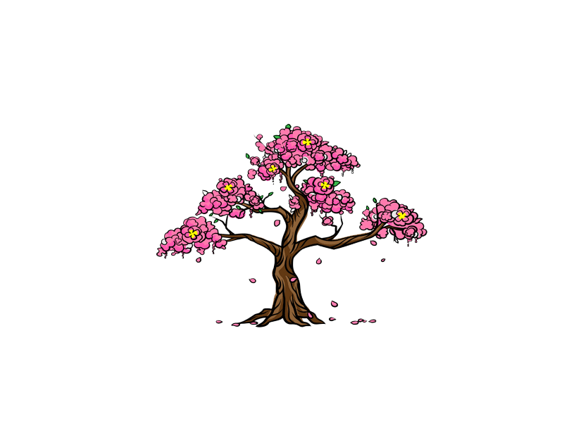 Cherry Bloom Tree Drawing Tutorial