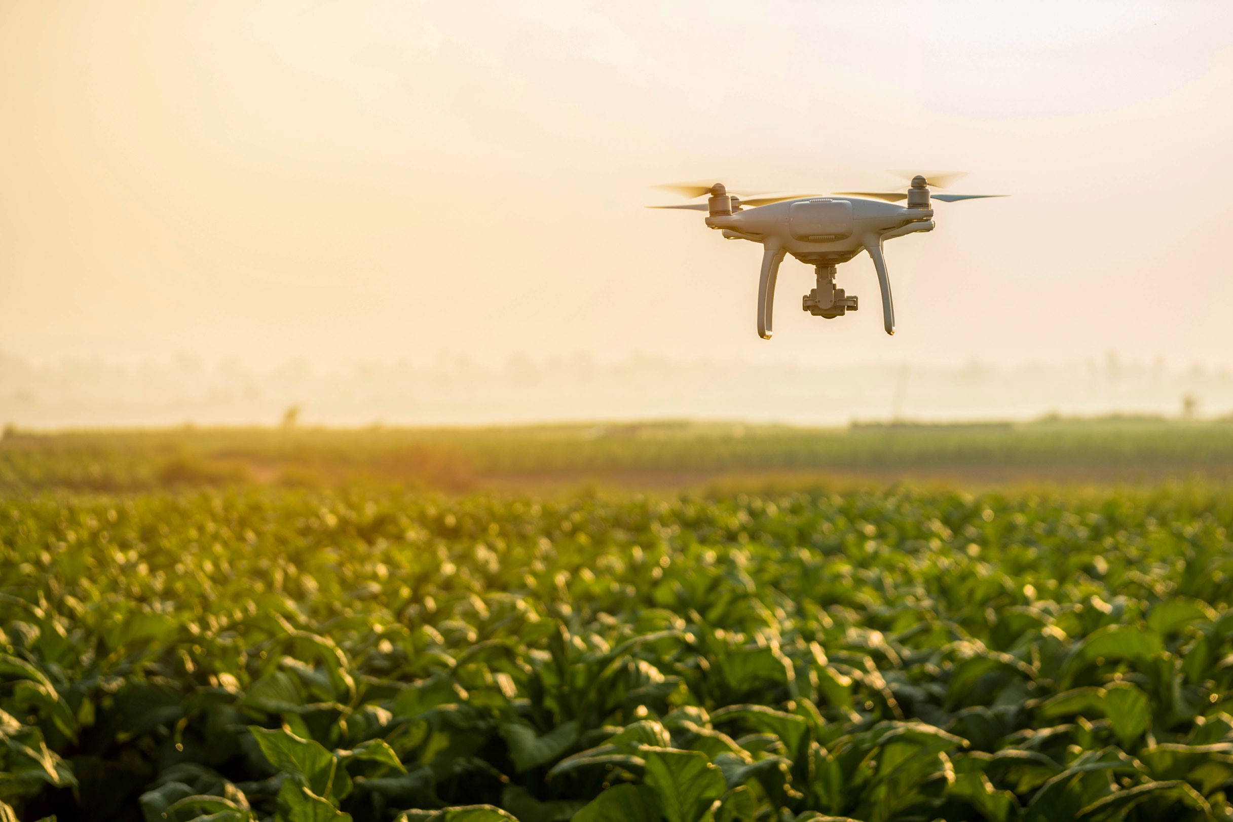 Exploring the Benefits of Agriculture Drone Batteries