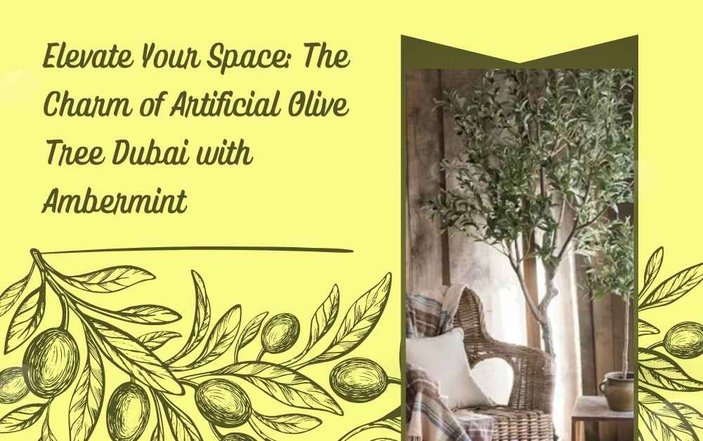 Elevate Your Space: The Charm of Artificial Olive Tree Dubai with Ambermint