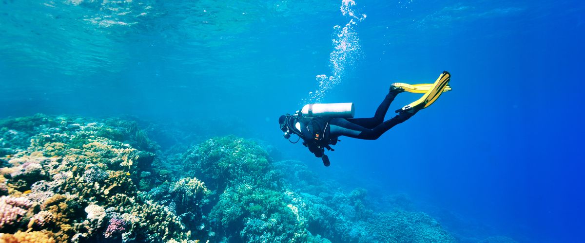 Beneath the Azure Depths: Unveiling the Splendors of Diving in Qatar