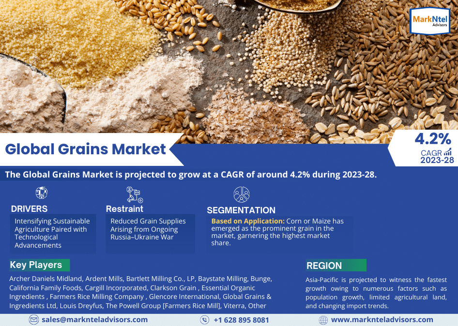 Grains Market Revenue, Trends Analysis, Expected to Grow 4.2% CAGR, Growth Strategies and Future Outlook 2028: Markntel Advisors