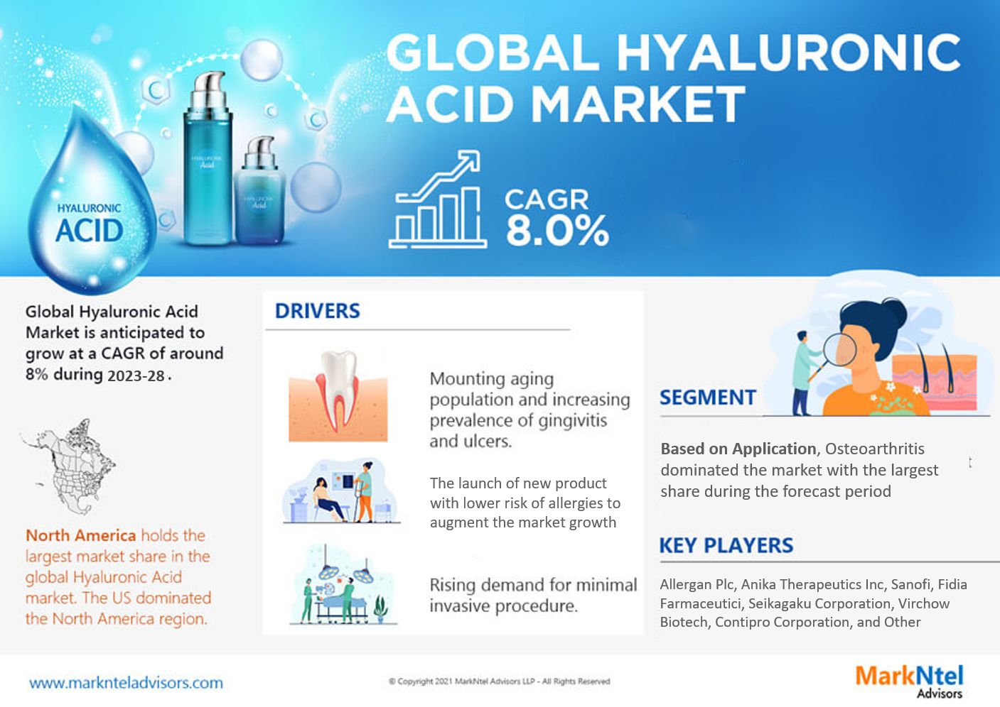 Investment Opportunities, Challenges, and Size Assessment in Hyaluronic Acid Market – Growth Study for 2023-2028