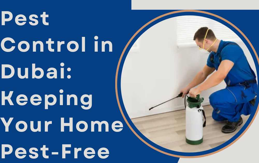 Pest Control in Dubai: Keeping Your Home Pest-Free