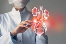 Benefits of Consulting a Urologist in Dubai for Men’s Health Concerns