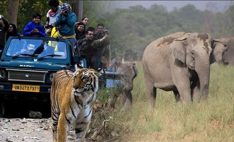 Six Attractions at Jim Corbett National Park