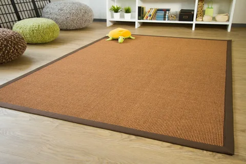 The Benefits of Sisal Carpet for High-Traffic Areas