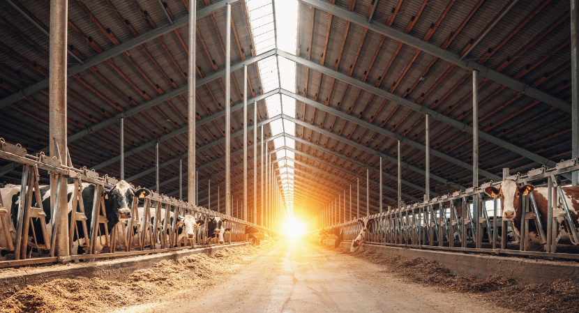 Dairy Herd Management Market Share, Size, Growth, Report and Forecast 2024-2032