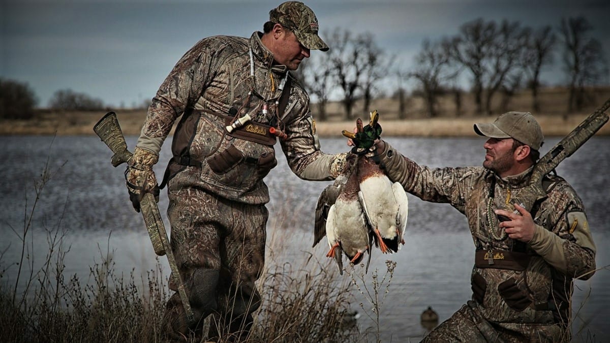 Unveiling the Thrilling World of Colorado Antelope Hunts and Bighorn Sheep Hunting