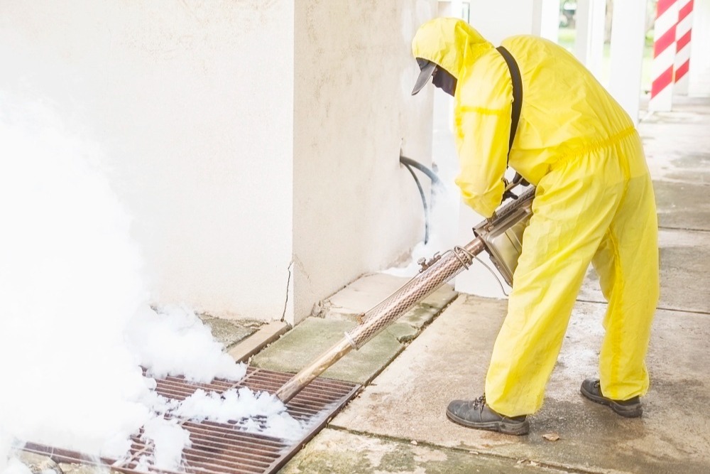 Navigating the Hazards of Black Mold: Inspection and Removal Essentials