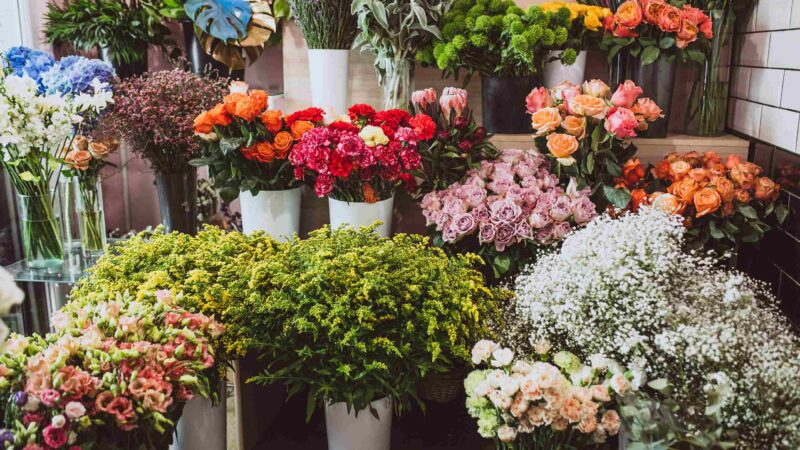 Exploring the Best Flower Shop in Dubai