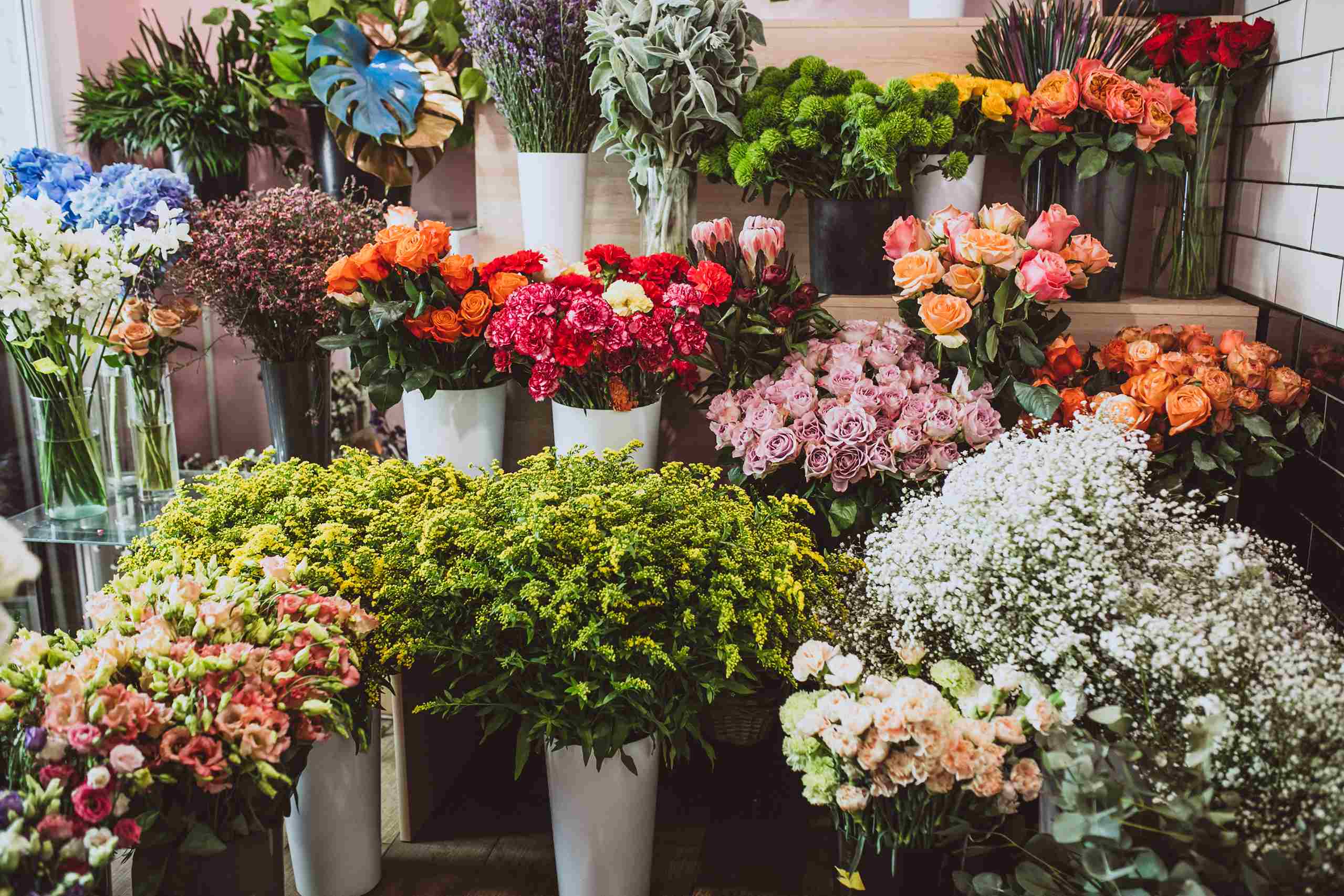 Exploring the Best Flower Shop in Dubai